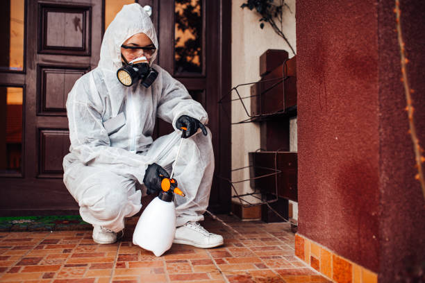 Reliable Bed Bug Control contractor in Maple Grove, MN by Nex Pest Control